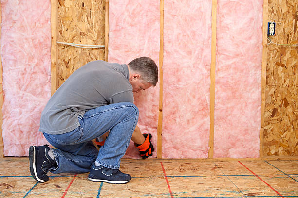 Best Specialized Insulation Services in Lden, MA